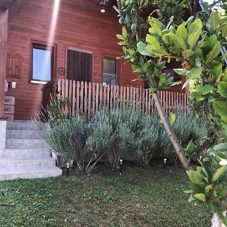 Holiday Home Nemo Bihać Buitenkant foto
