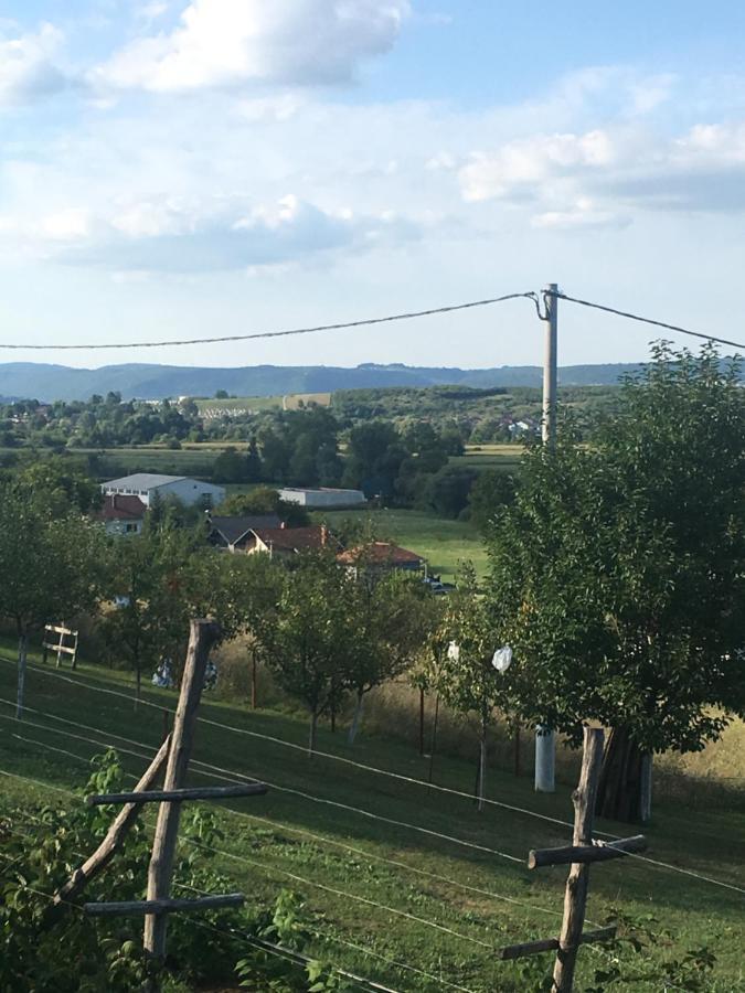 Holiday Home Nemo Bihać Buitenkant foto